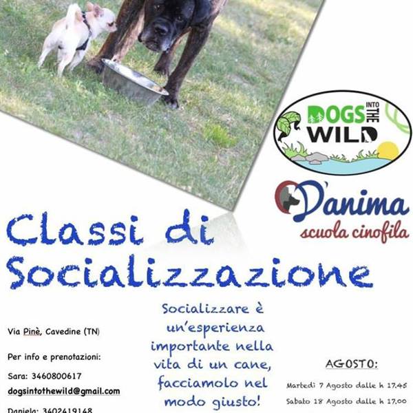 Classi di Socializzazione e Comunicazione